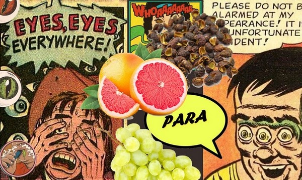 Para doctor vape blog le petit vapoteur